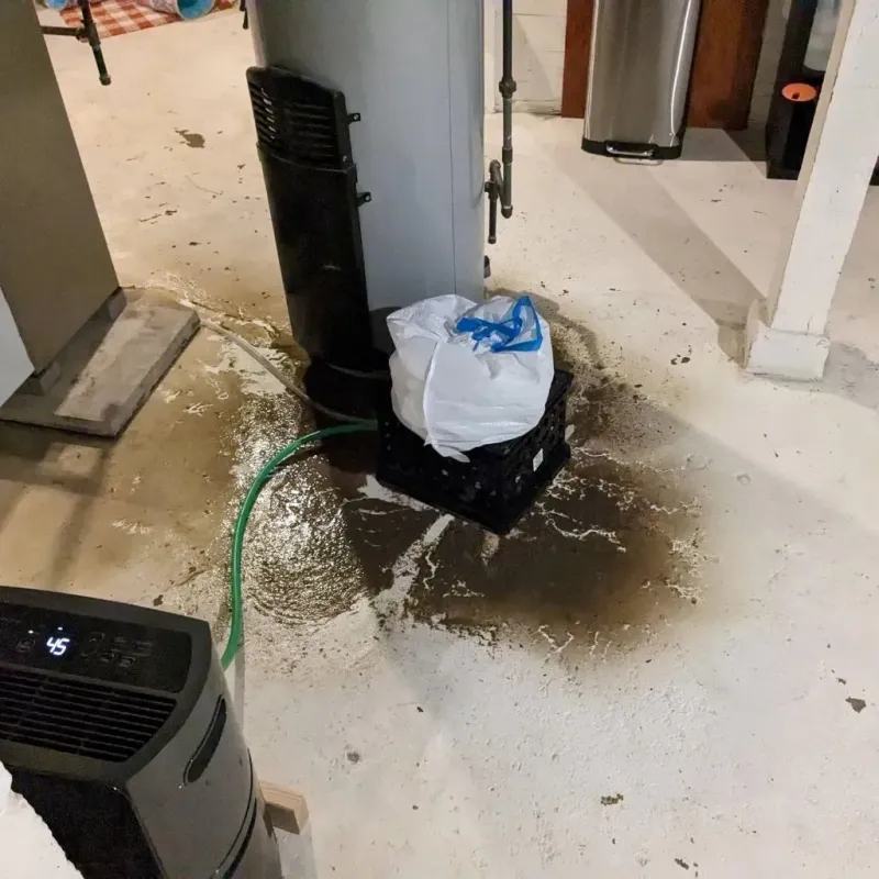 Sewage Backup Cleanup Service in Las Quintas Fronterizas Colonia, TX